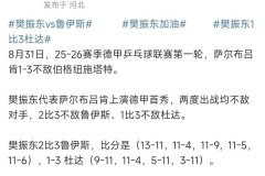 寒心！饭圈嘲讽樊振东德甲首秀：“啥也不是”“天蓬元帅下凡”