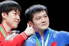 德国媒体透露：樊振东参加德甲时间初定，门票备受追捧