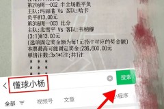 周日030法甲 南特VS巴黎圣日尔曼