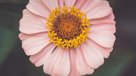 意甲：米兰财务报表公开，若不是赖因德斯高价转会曼城，俱乐部不可能盈利